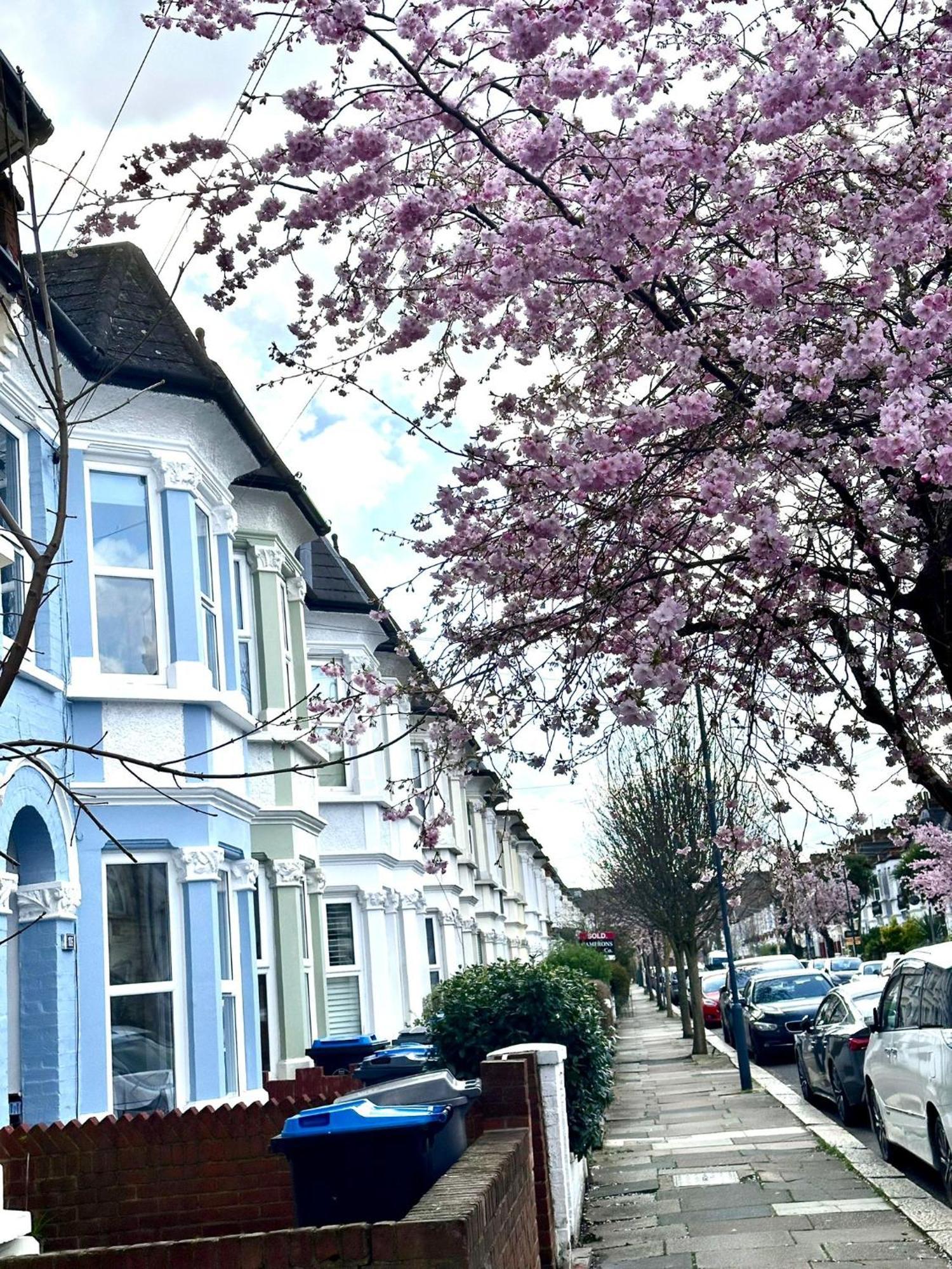 Charming, Renovated Residence In Willesden Green London Eksteriør bilde